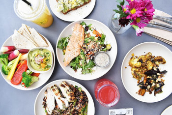 Radicle и Syngenta инвестируют $1,25 млн. в решения в сфере производства белков